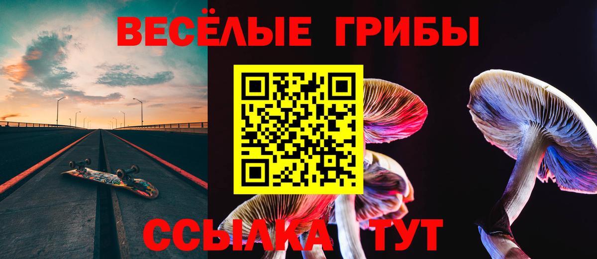 Галлюциногенные грибы прущие грибы  Вход с VPN  Узловая 